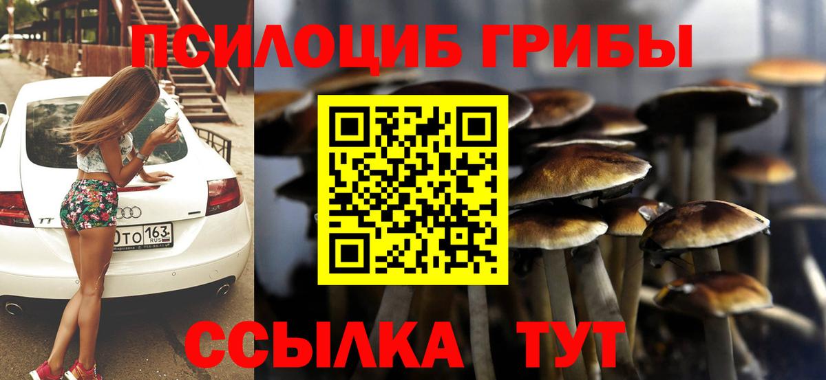 Галлюциногенные грибы Psilocybe  Вход с VPN  Когалым 